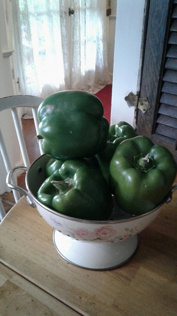 Peppers for stuffing, yummy 