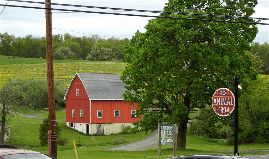 Farm Scene