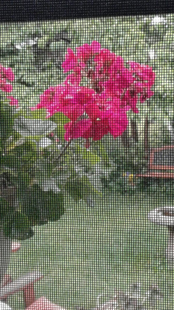 After The Rain