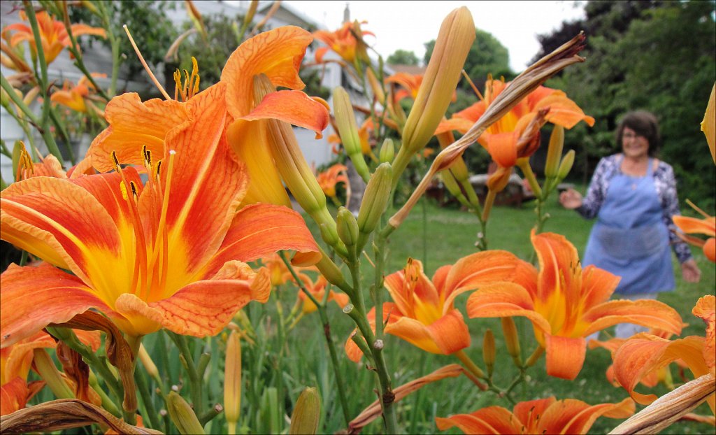 Walking Amongthe Lillies