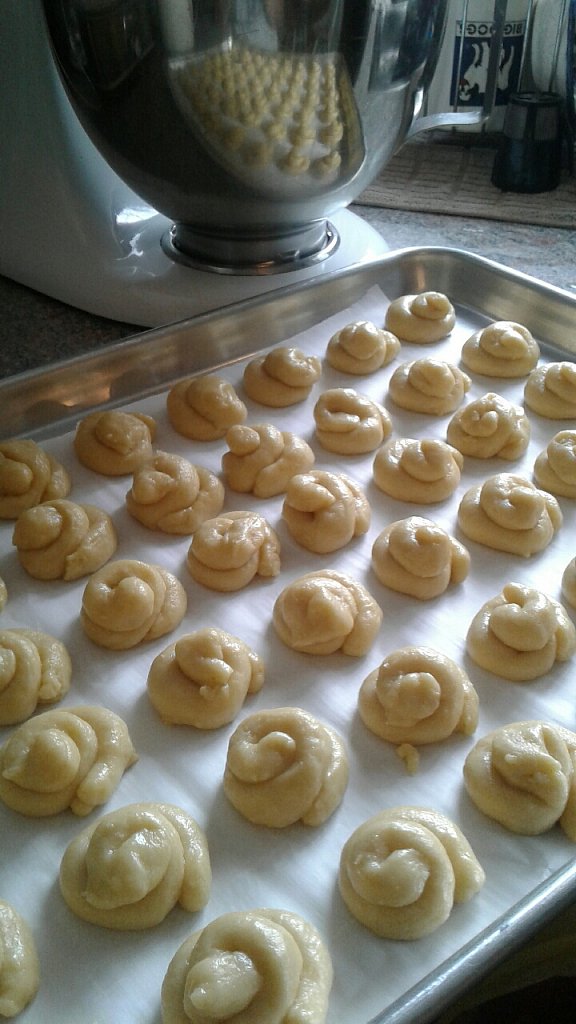 Project Mom - Photos By Carole Anne Gigli