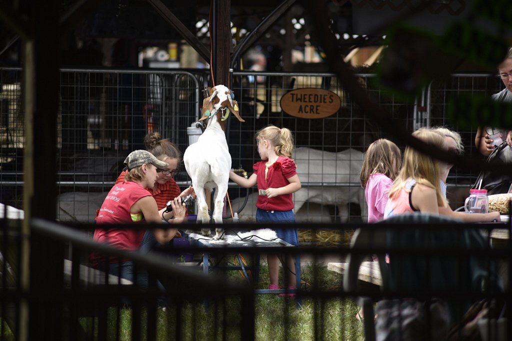 At The Fair