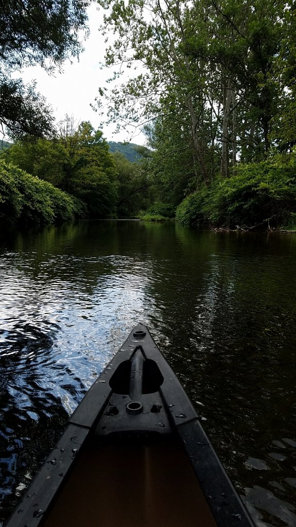 River Canopy