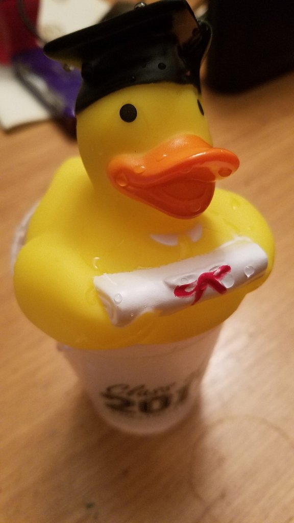 Wet Duck