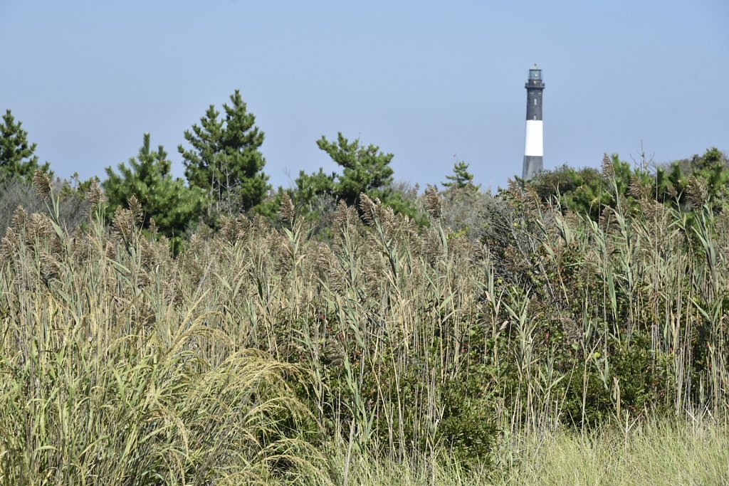 Fire Island Lighthouse