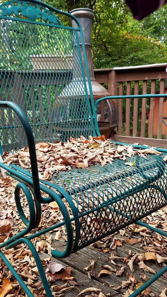 Fall on the Deck