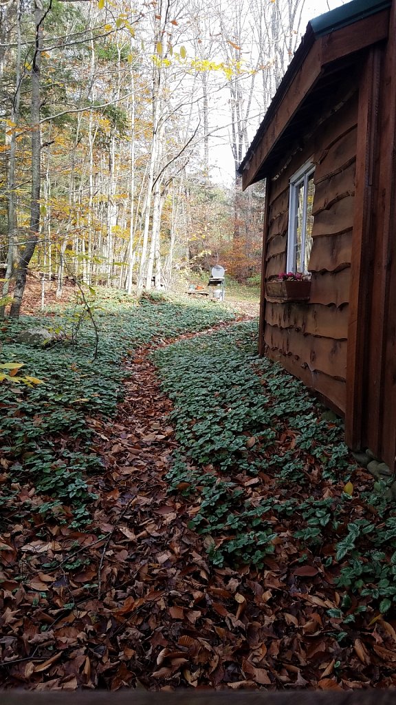 Path Through the Woods