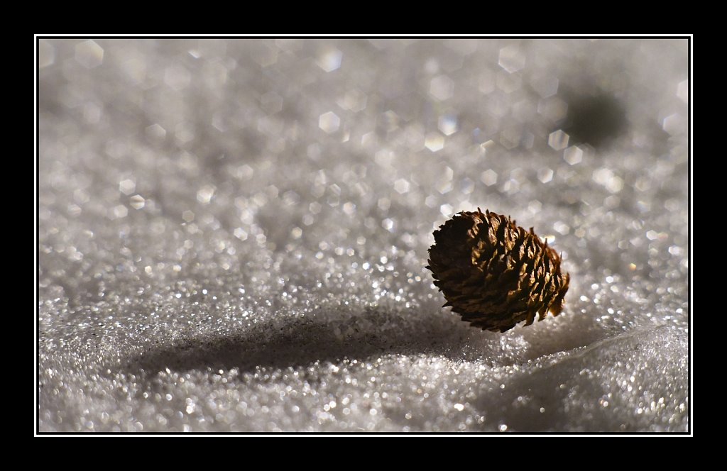 Snow Cone