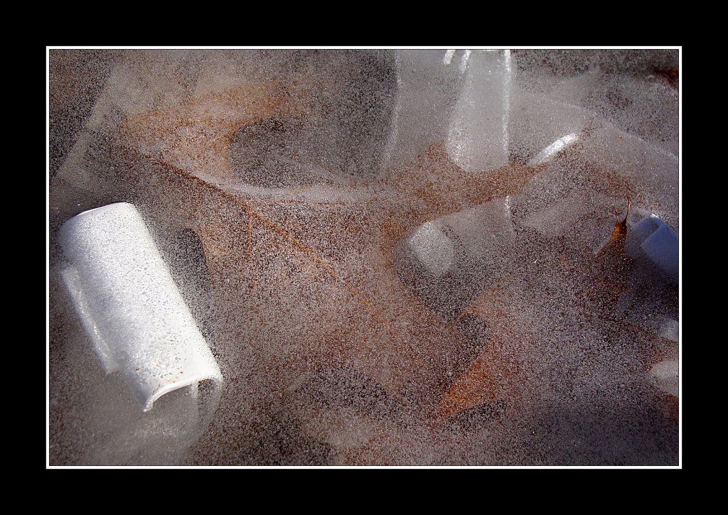 Leaf Under Ice