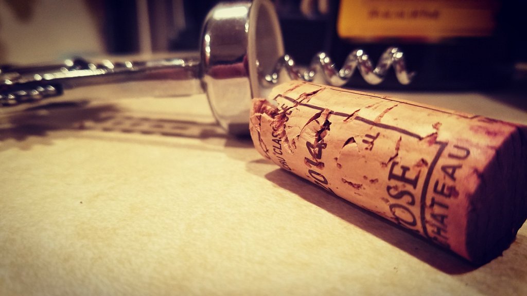 Project 365 + by Cheyenne Gigli