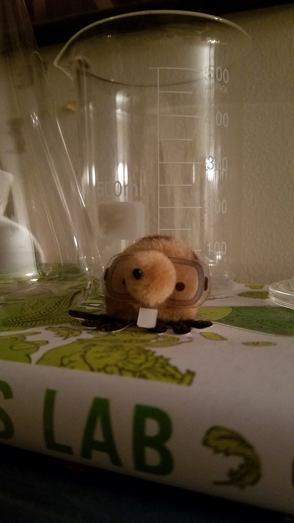 1 Mole