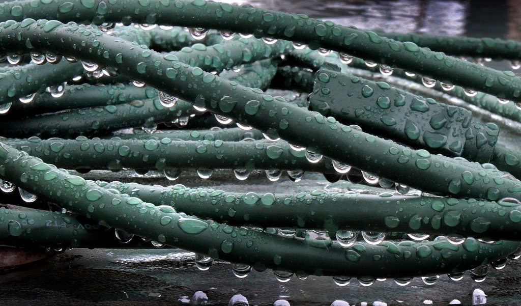 Project 365 by Rich Gigli