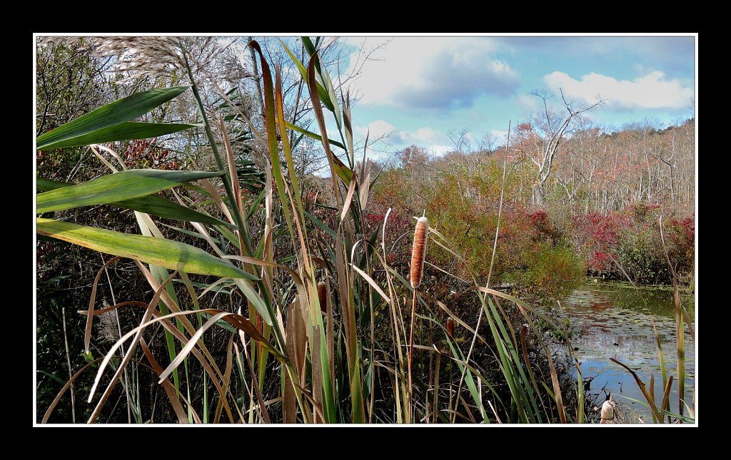 South Branch of the Raritan River