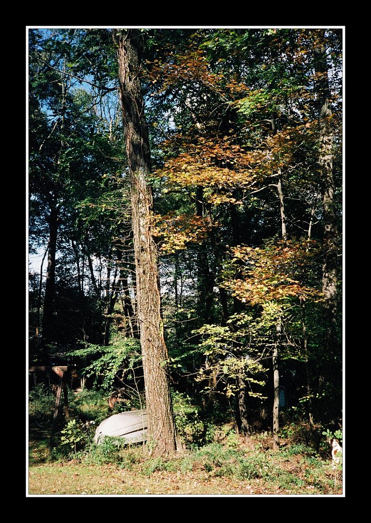 2018212F-Nikon-One-Touch-100-12-13.jpg