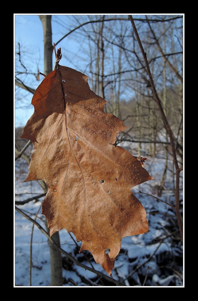 December In Upstate NY