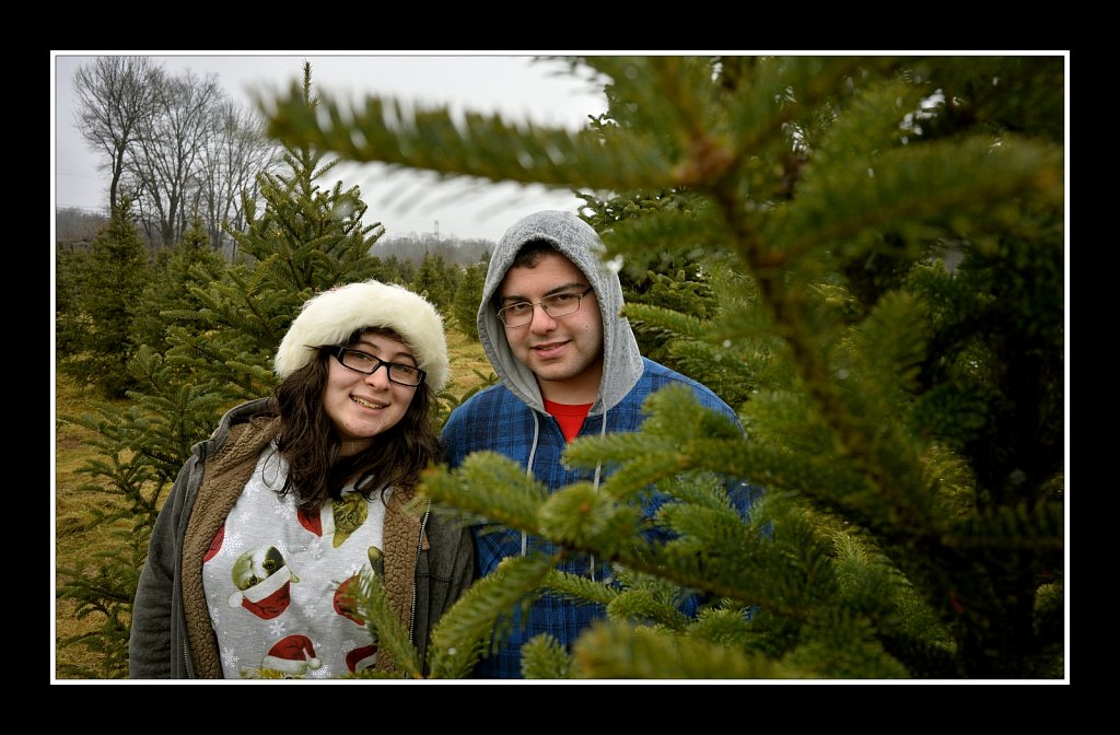 Christmas Tree Hunting