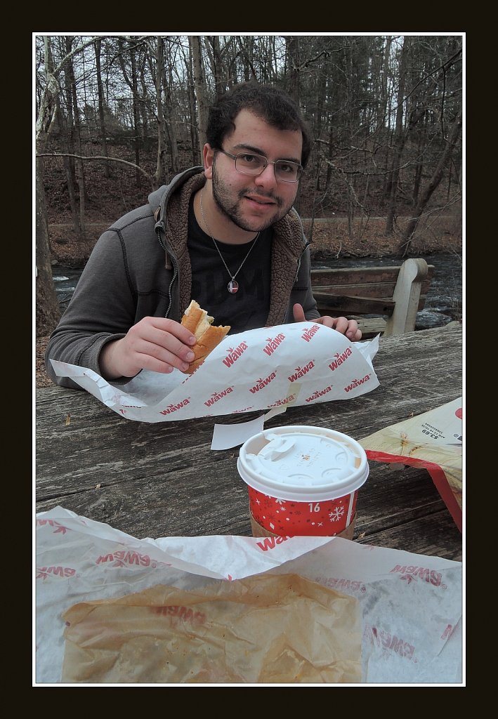 New Year Picnic