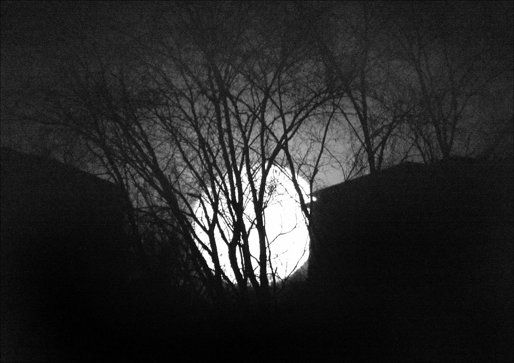 Moon Set