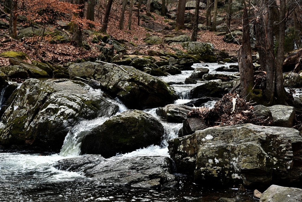 Hedden County Park