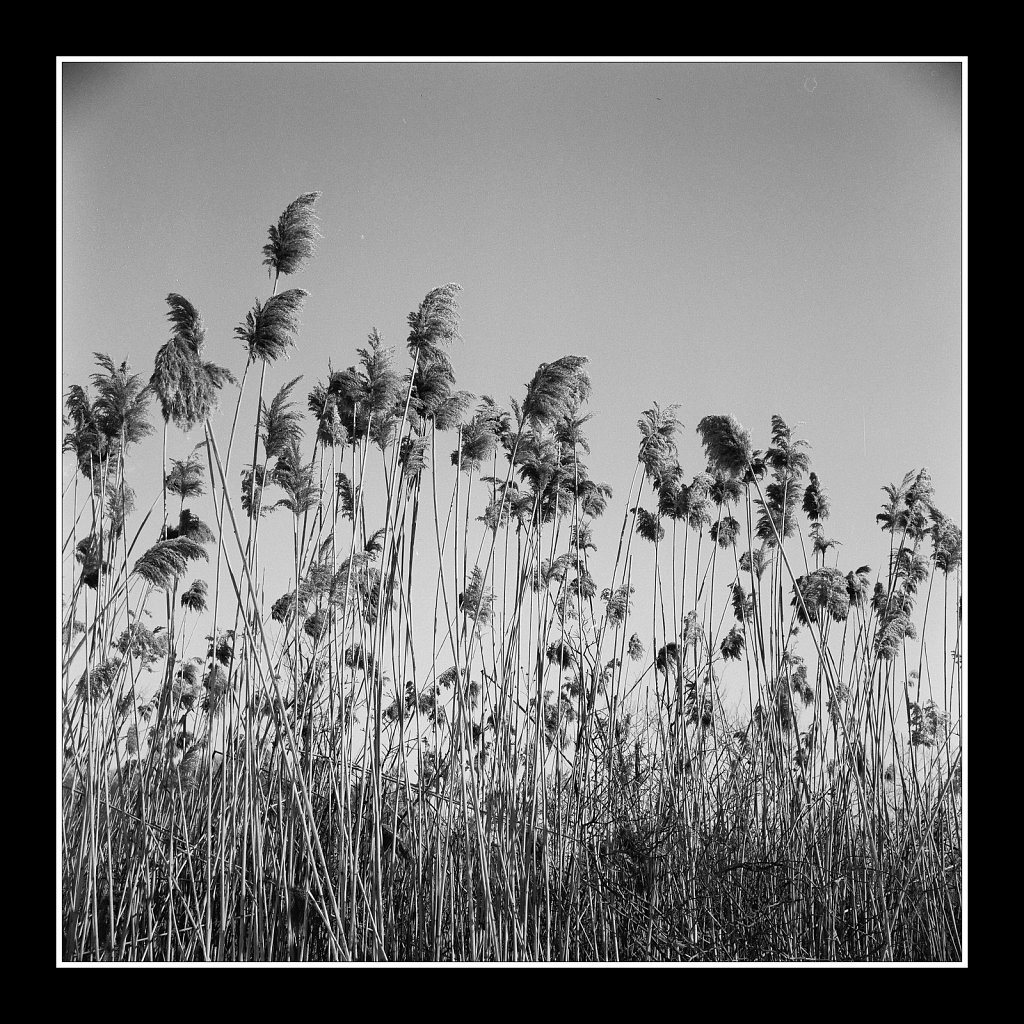 S. Branch Raritan River