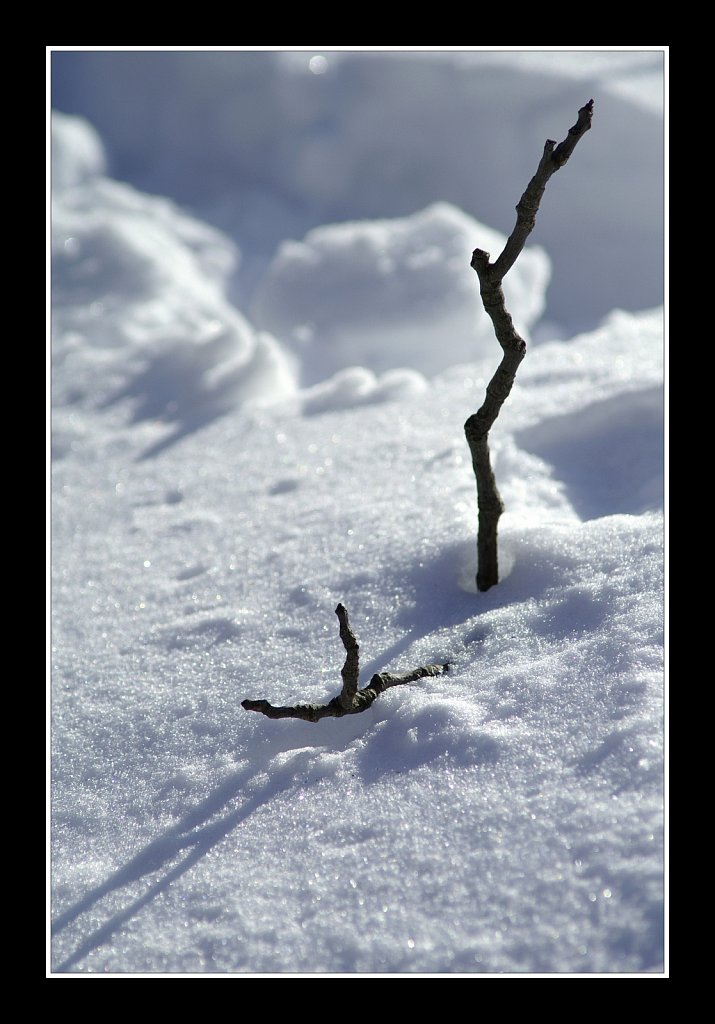 Stuck In The Snow