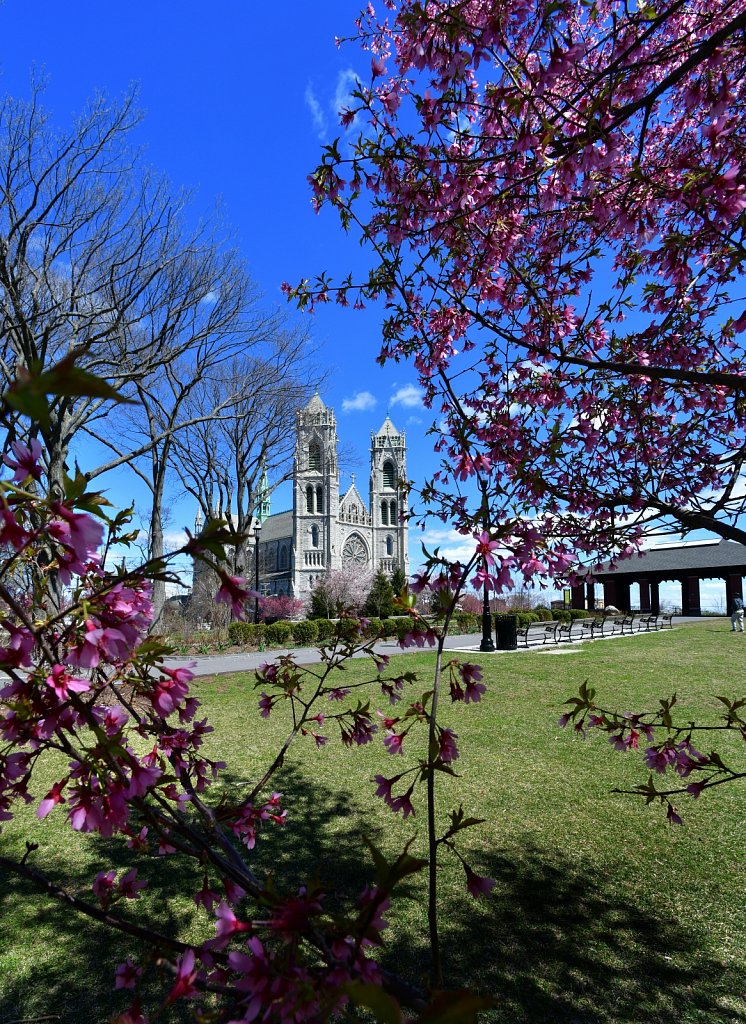 Sacred Heart Basilica