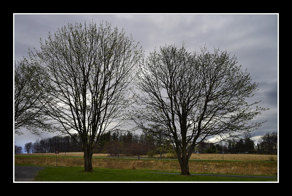 Teetertown Preserve