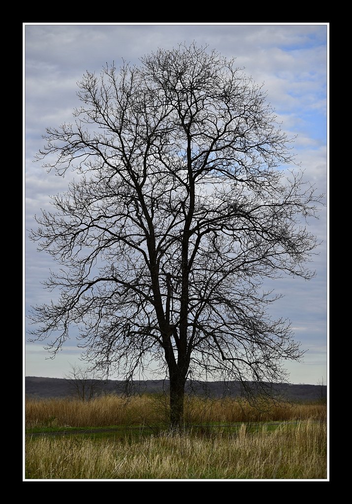 Teetertown Preserve