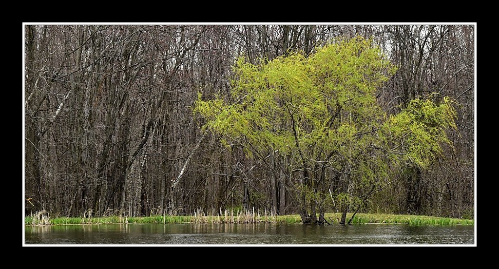 Teetertown Preserve