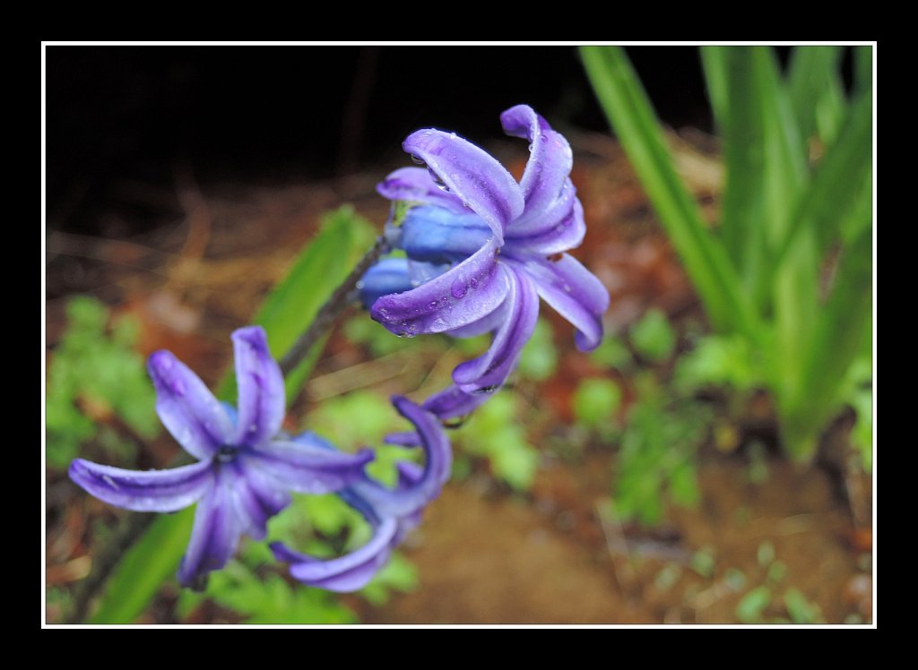2019052F-DSCN1522.jpg