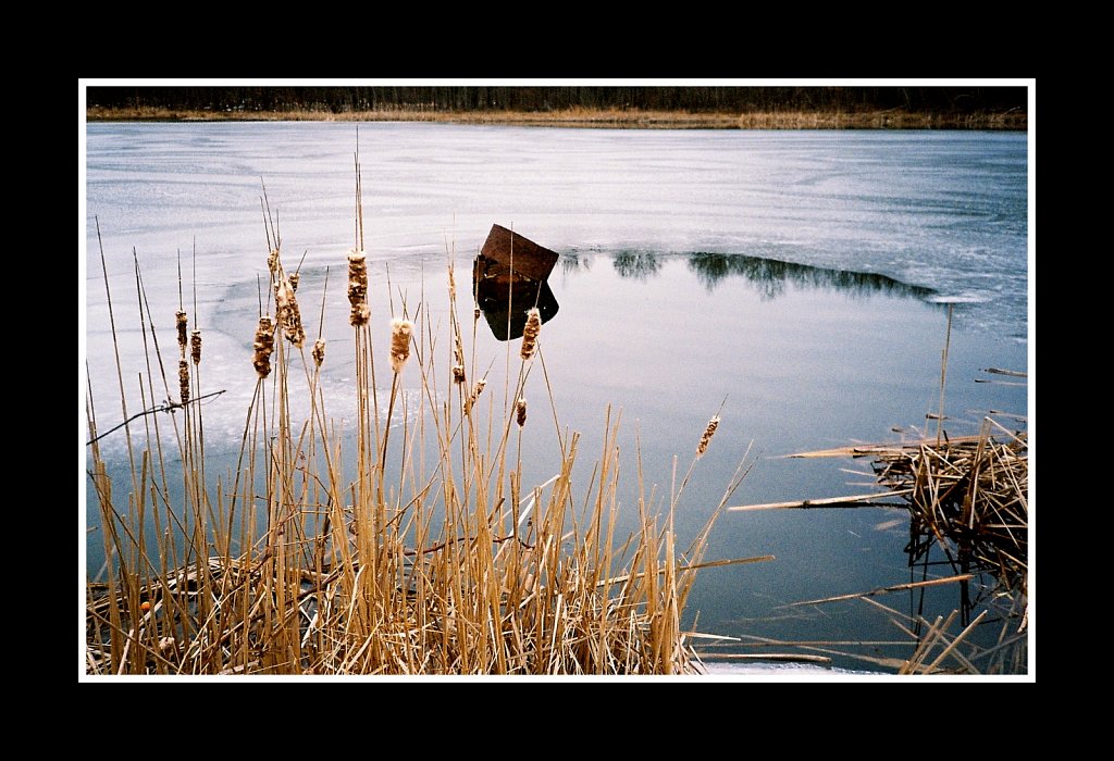 Mountain Farm Pond