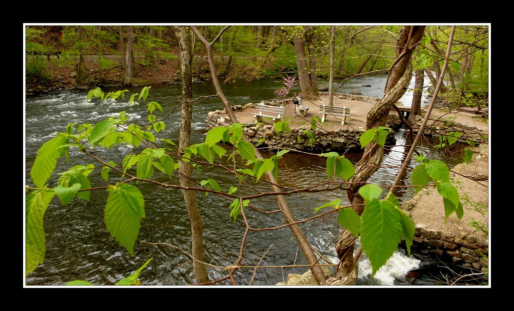 Stephens State Park