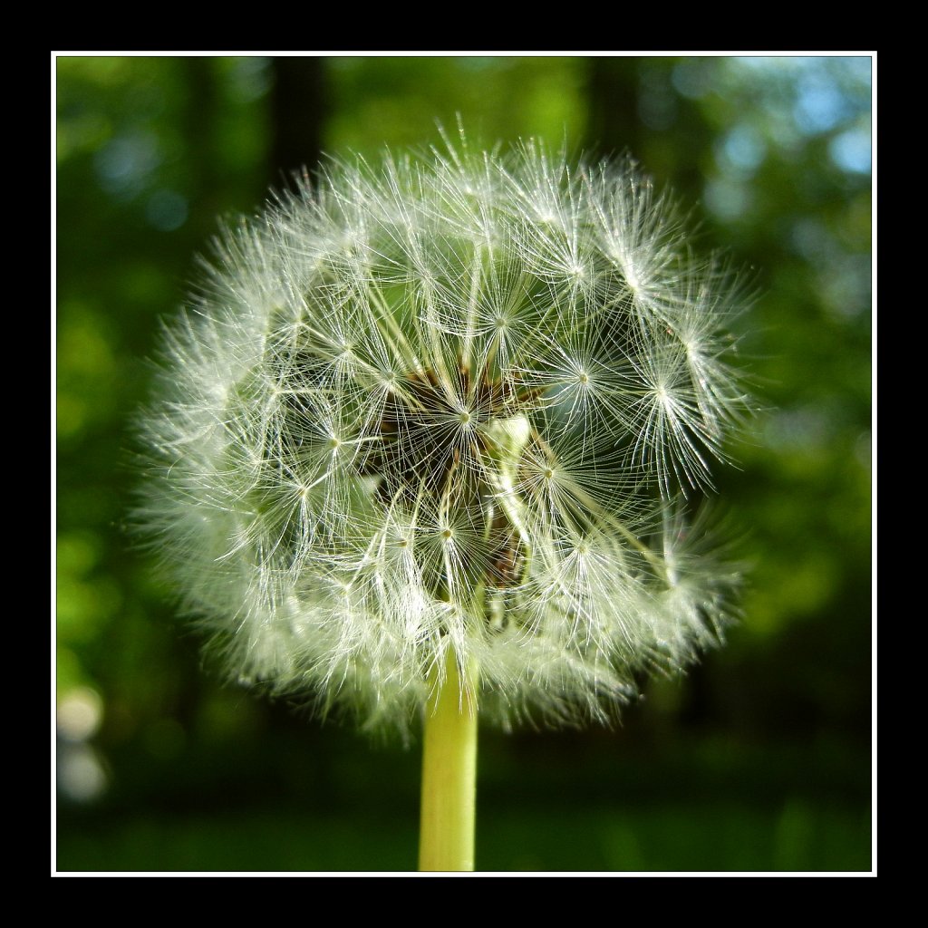 2019087F-DSCN3916.jpg