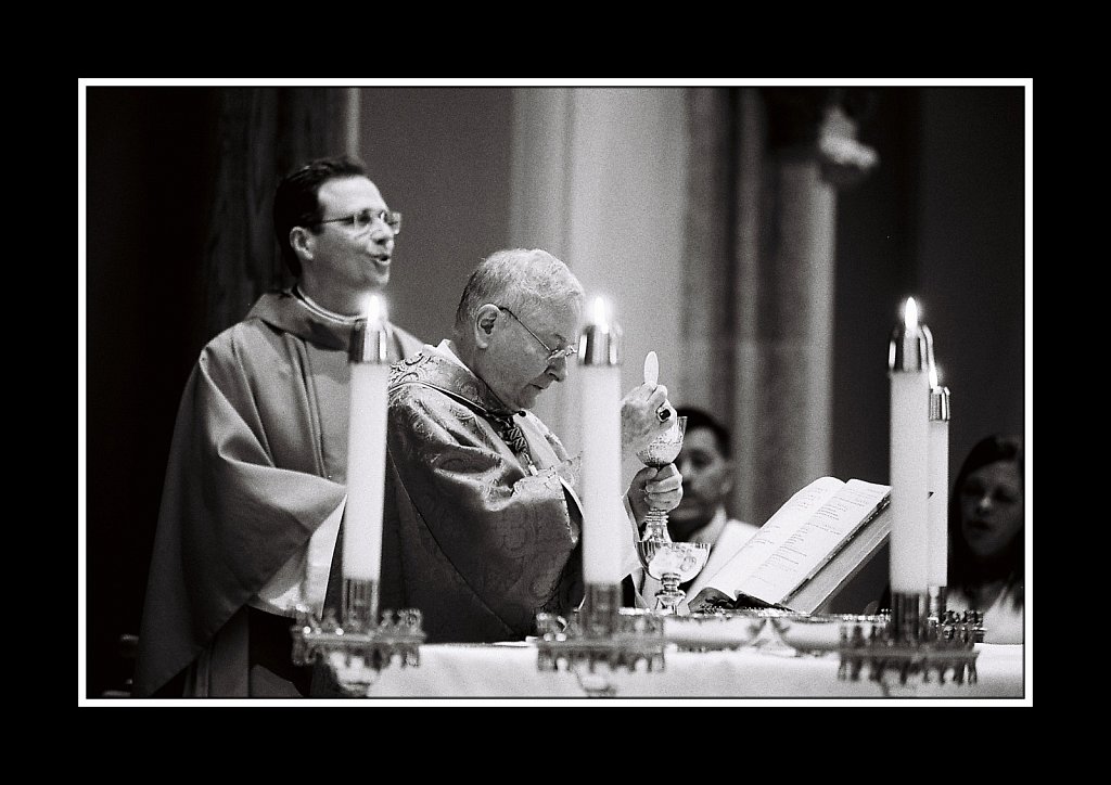 Cathedral Palm Sunday