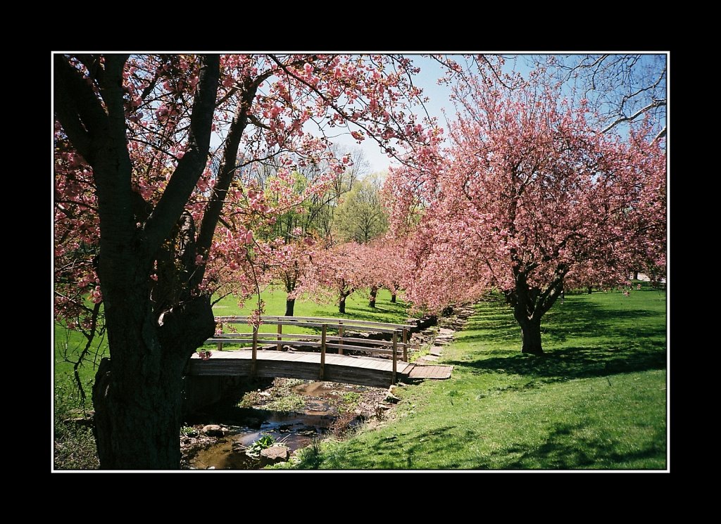 Fujifilm Superia 400