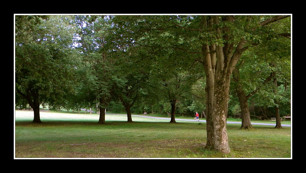 Schooley's Mountain Park