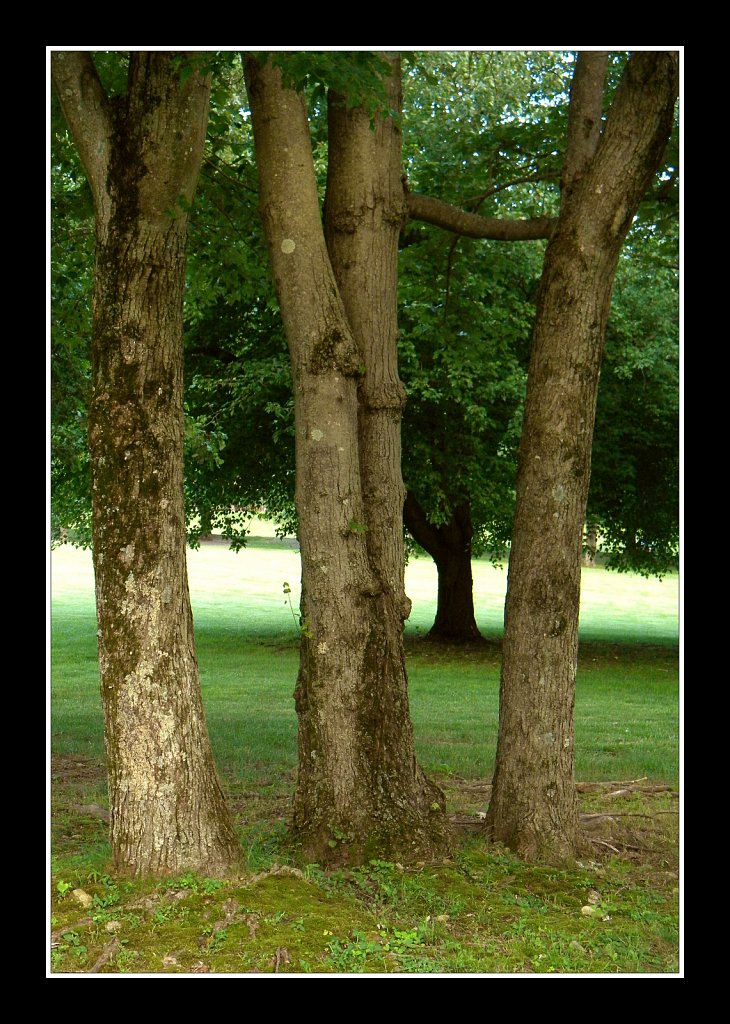 Schooley's Mountain Park