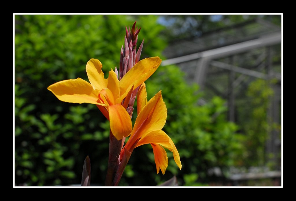 Willowwood Arboretum