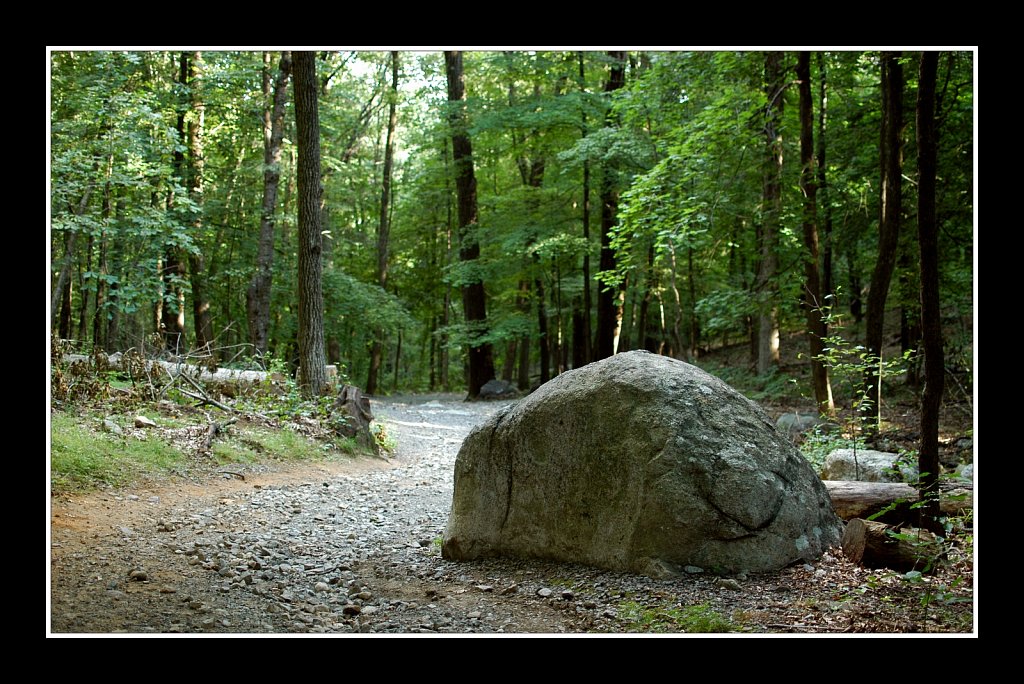 On Top of the Tourne