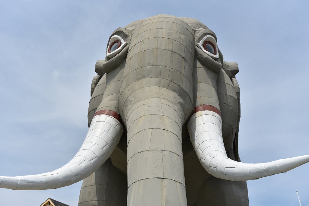 Lucy The Elephant