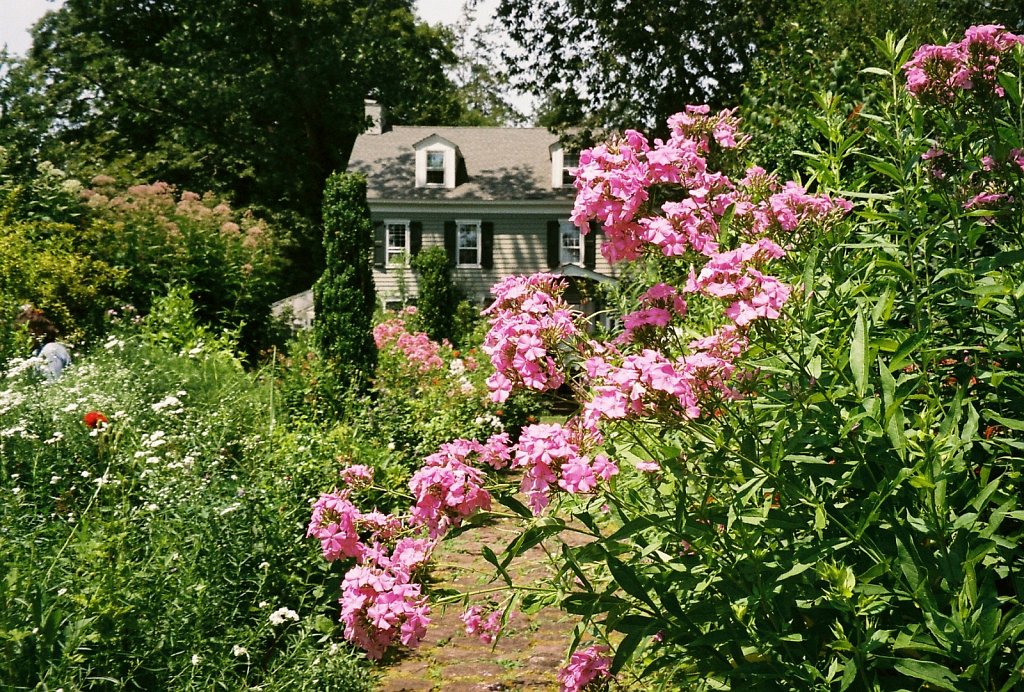 Willowwood Arboretum