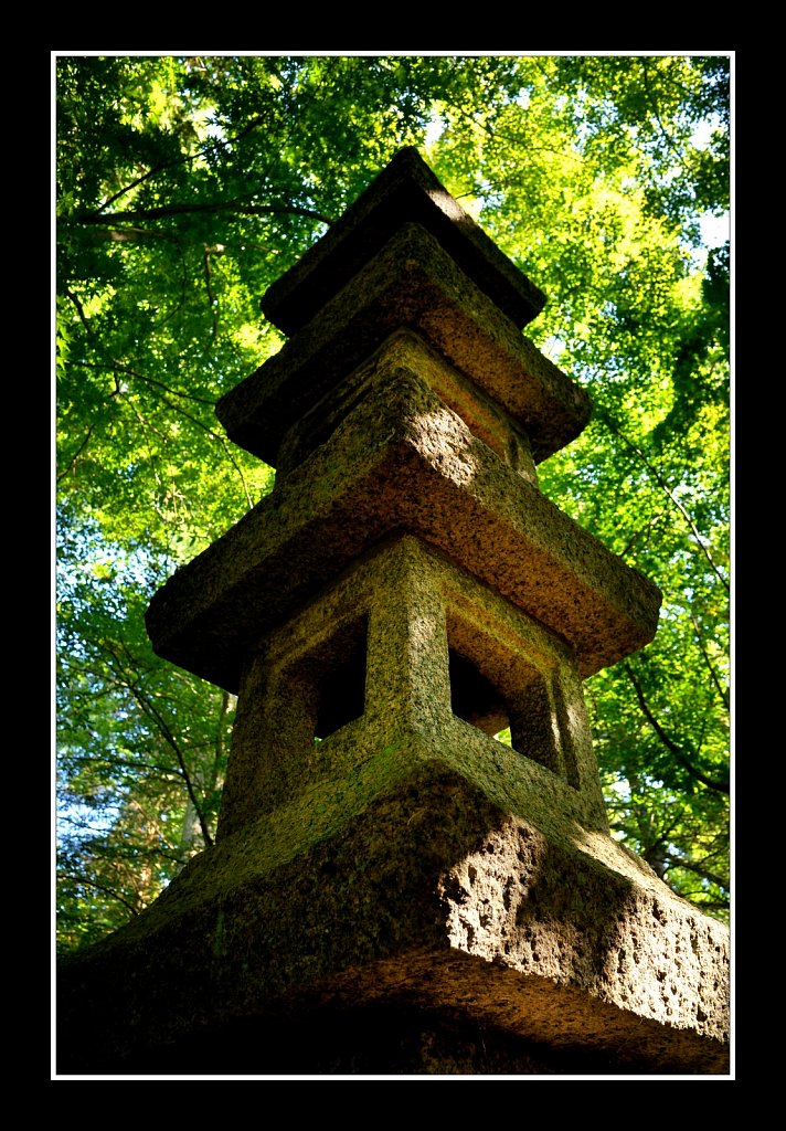 Willowwood Arboretum 