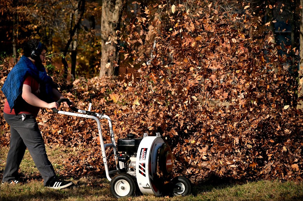 Blowing Leaves