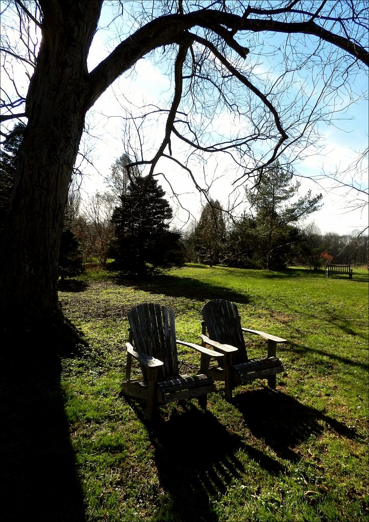 Willowwood Arboretum 