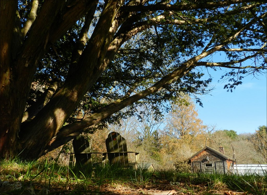 Willowwood Arboretum 