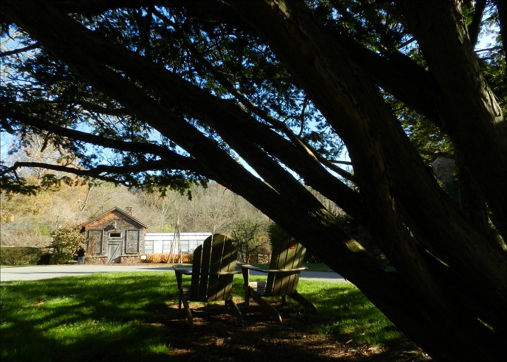 Willowwood Arboretum 