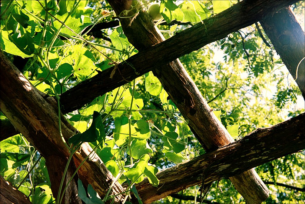 Bamboo Brook County Park