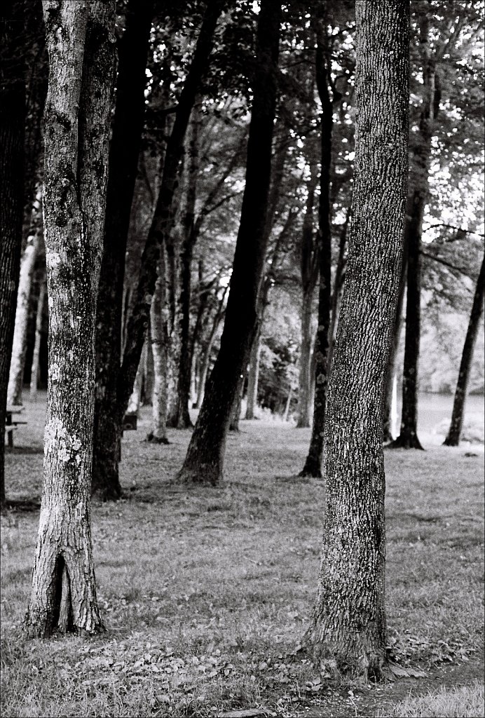 Schooley's Mountain Park