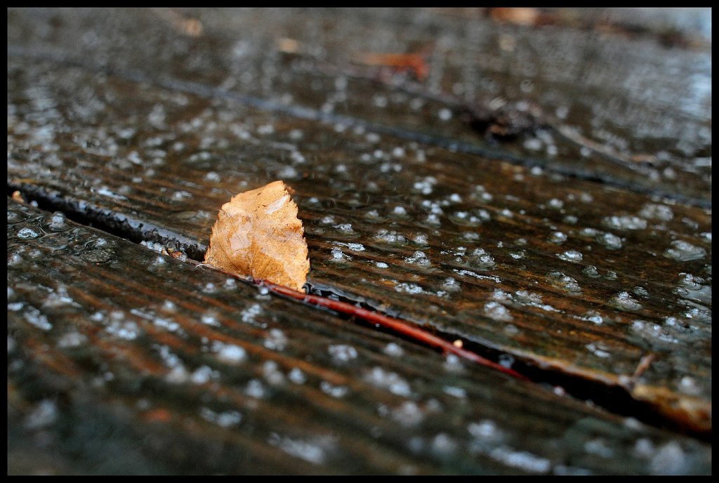 Ice Storm