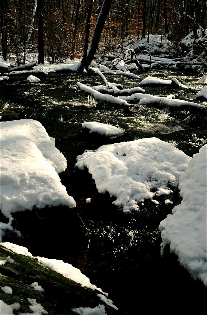 Cooper Grist Mill